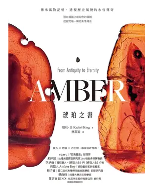 書封 琥珀之書：傳承萬物記憶、透視歷史風貌的永恆傳奇